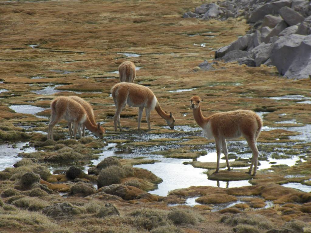 1053154_10201493442115089_1621365173_o