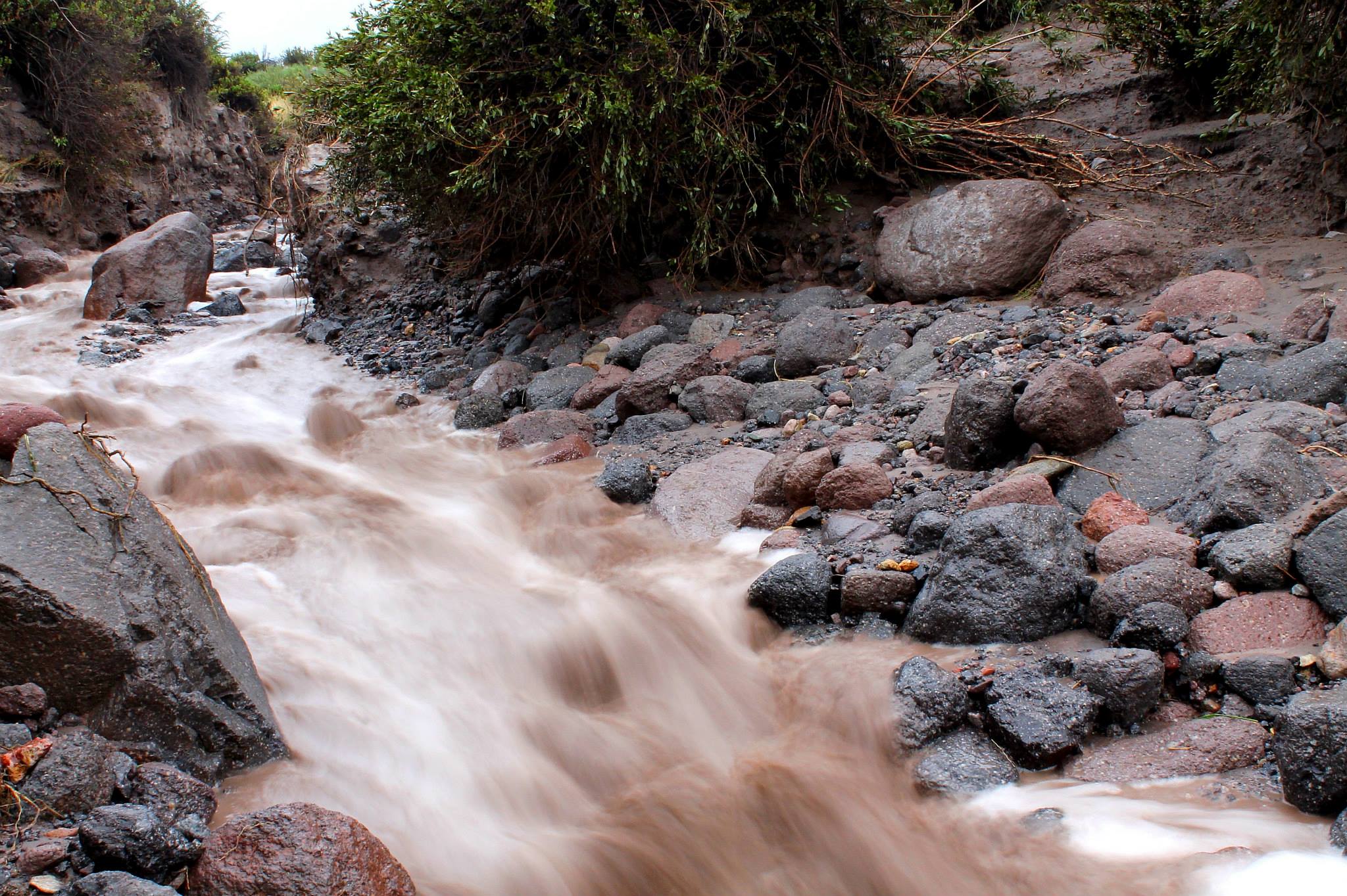 10838139_10205848240302322_7976350533319890298_o