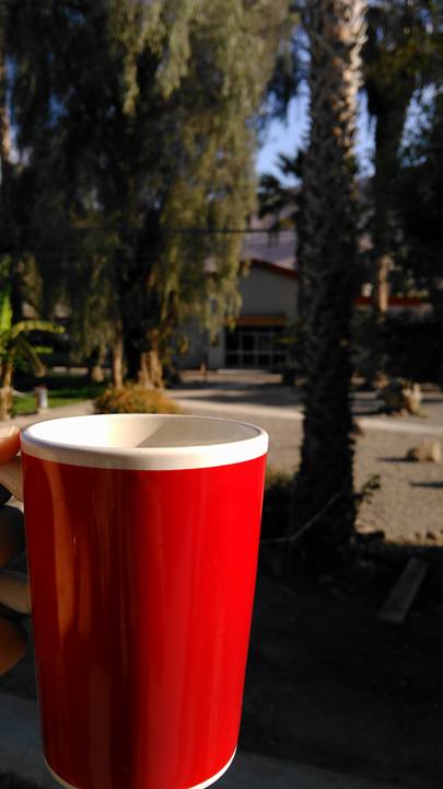 12036668_10207595176134626_832636780686930165_n