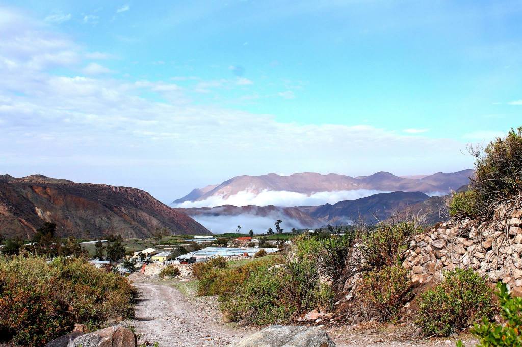 12291902_10207909649556265_2732480631069565779_o