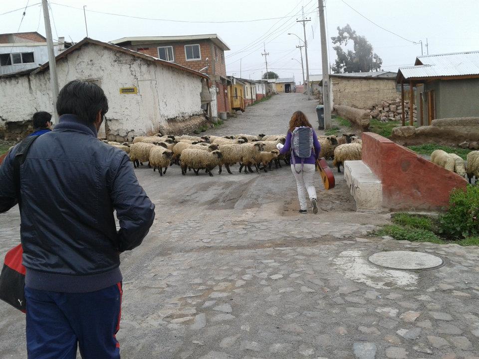 421193_3234711743814_518078404_n