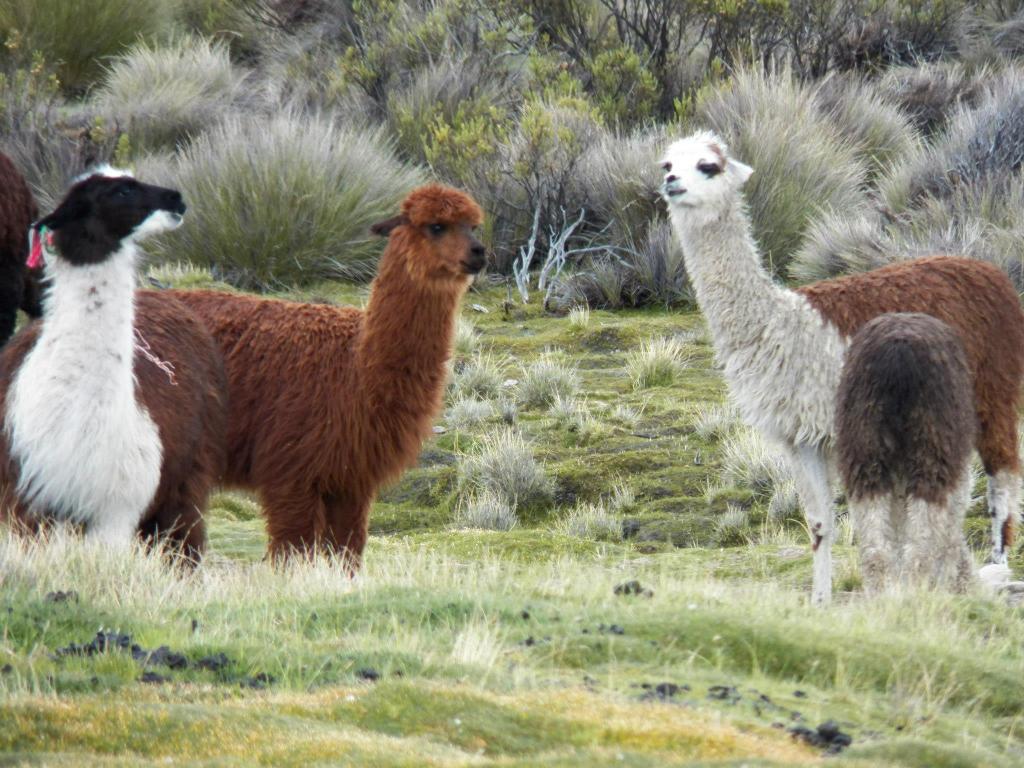 774170_10200344710677521_80722600_o